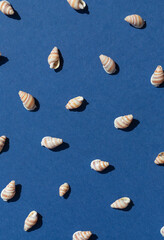 Seashells on the blue background seamless pattern flat lat. Top view