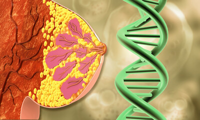 Female breast cross section with DNA strand. 3d illustration.