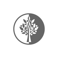 Tree of life icon isolated on transparent background