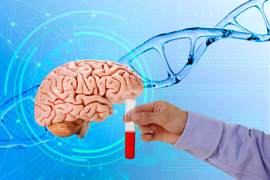 doctor's hand holds test tube with blood on human brain, DNA helix background, nucleic acid molecules, human genome research, development science, neural connections, regulation interneuronal contacts - Powered by Adobe
