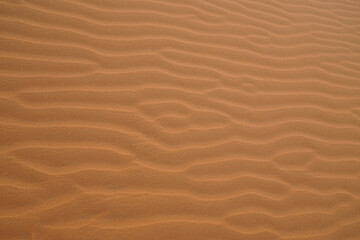 Interesting structures painted by the wind in the sand of the desert.