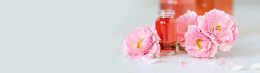 Concept of perfume with pure natural organic rose ingredient, essential oils. Glass bottles with flower herbal extract and elixir. Perfumery cosmetic toilet water fragrance, banner copy space for text