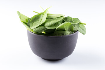 Green spinach on a white background