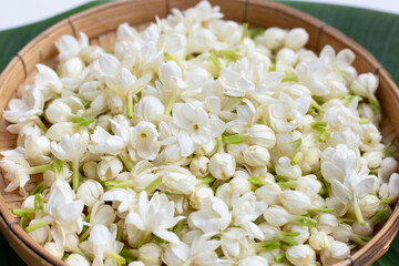 Thai jasmine flower in bamboo weave plate on banana leaf