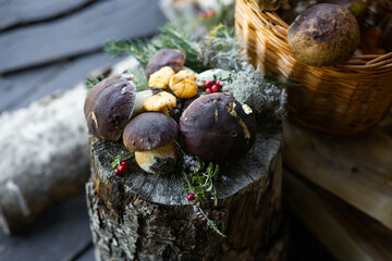 Forest mushroom boletus, cep, porcini, chanterelle collected in a wooden wicker basket. Late summer...