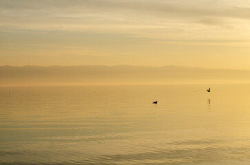 Fototapeta premium sunset on the lake