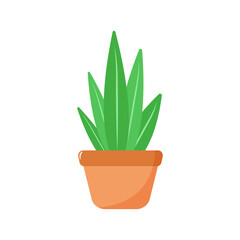 Cartoon plant isolated on white background. Vector illustration in a flat style. Plant icon.