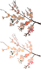Free hand Sakura flower vector set, Beautiful line art Peach blossom isolate on white background.Branch of cherry blossom for printing on wallpapers and sticker.Japanese flower.Golden line art.