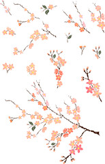 Free hand Sakura flower vector set, Beautiful line art Peach blossom isolate on white background.Branch of cherry blossom for printing on wallpapers and sticker.Japanese flower.Golden line art.