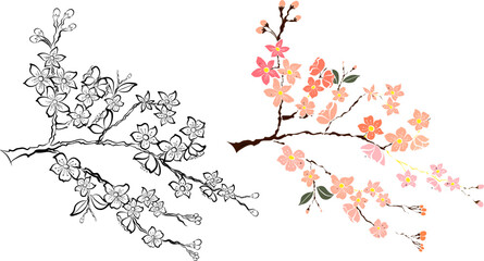 Free hand Sakura flower vector set, Beautiful line art Peach blossom isolate on white background.Branch of cherry blossom for printing on wallpapers and sticker.Japanese flower.Golden line art.