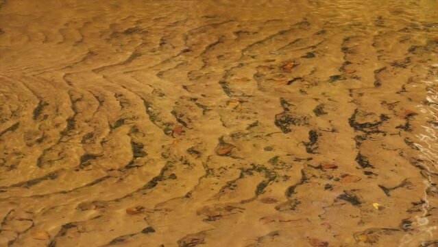 Sandiger Grund eines Bachlaufes