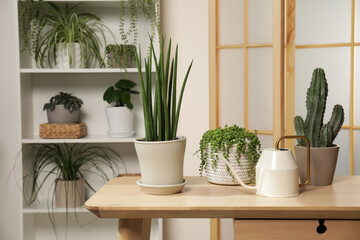 Green houseplants in pots and watering can on wooden table indoors, space for text