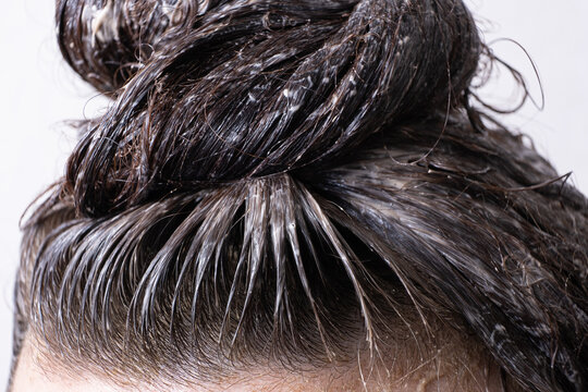 Close up women's hair is collected in a bun with paint applied to it. Hair dyeing concept