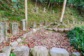 【奈良県】奈良市 白毫寺 (2023/04/11撮影)