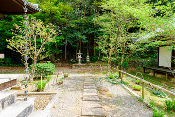 【奈良県】奈良市 白毫寺 (2023/04/11撮影)