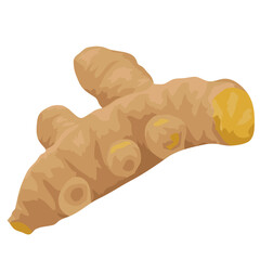 ショウガ・生姜のイラスト素材　ベクター