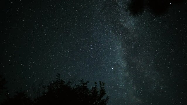Time lapse of the milky way and the starry night sky moves over the crown of a tree
