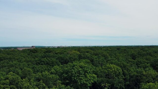 Aerial landscape of Planterwald forest on a summer day in Berlin