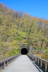 春の碓氷第三橋梁　めがね橋　群馬県安中市　Usui Third Bridge in Spring. Megane bridge. Gunma Pref, Annaka city.