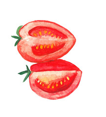 Watercolor hand drawn illustration of tomatoes