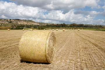 Panoramic view of agricultural field with straw bales by Kourion archaeological site, Cyprus