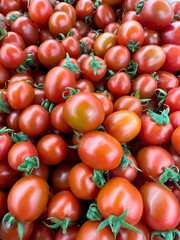 Tomatoes. Heap of organic cherry tomatoes. close up. food background. Top view