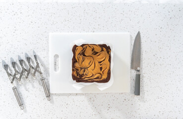 Chocolate fudge with peanut butter swirl