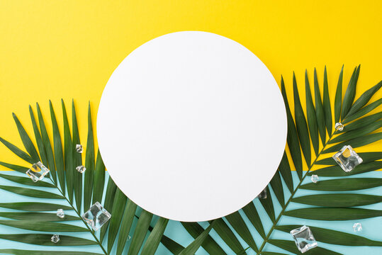 Chill out and enjoy the summer vibe with a top view flat lay of green palm leaves and ice cubes on blue and yellow background. Ideal for vacation concept with empty circle for text or branding