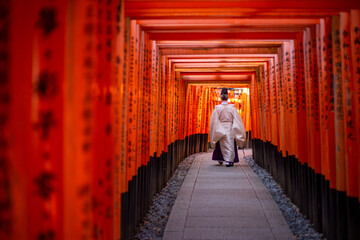Fushimi Inari Shrine in Kyoto - Japan