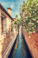 Fototapeta na wymiar Venice, Italy a narrow canal with green flower tree.