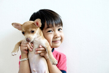 Little asian boy hugging Chihuahua dog and looking at camera