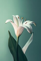 minimalist print of a lily, pastel colours, green background. generative ai