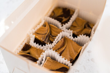 Chocolate fudge with peanut butter swirl