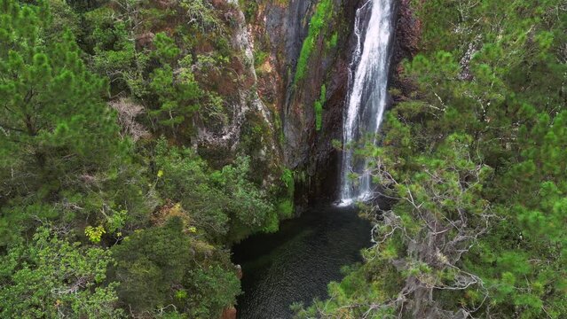 Aguas Blancas the highest Waterfall in Constanza aerial view through coniferous trees. The beautiful nature of the Dominican Republic 