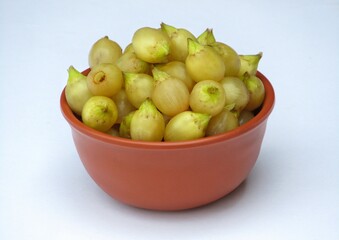Madhuca longifolia or Mahua in a bowl on white background 