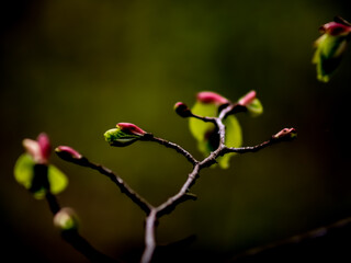 leaving nature after cold days