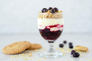 Blueberry and Lemon Cheesecake