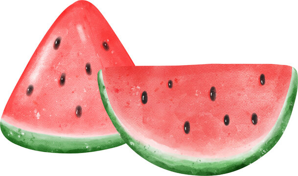 cute fresh watermelon fruit watercolor