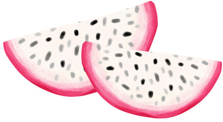cute tropical pitaya dragon fruit watercolour hand painting 