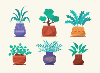 Set of Various Shapes of Flower Pots with Plants