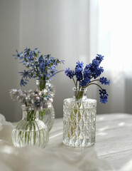 Various spring flowers in glass bottles on a table by the window in the sun. Spring still life