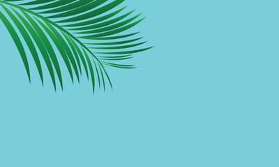 Obraz na płótnie Canvas palm tree background
