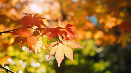 Naklejka na ściany i meble Autumn Leaves Background Illustration AI Generative.