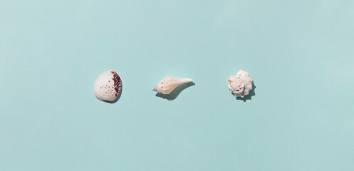 Fototapeta na wymiar Different kinds of seashells on the blue background top view