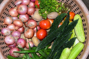 Vegetables, Onion, Bitter gourd, Cucumber, Tomato, Lady,s finger and green coriander (cilantro) leaves