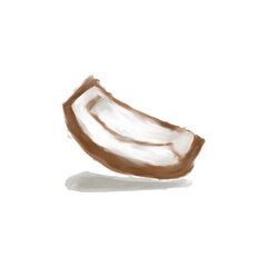 Coconut meat PNG