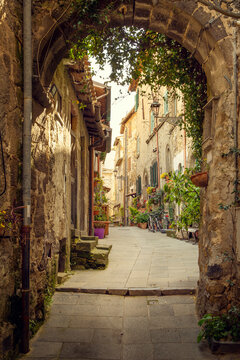 Fototapeta Narrow street in Marta town, Tuscany, Italy