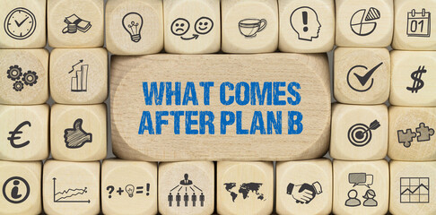 What Comes After Plan B?	