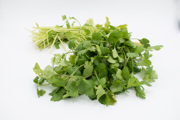 Fresh produce and herbs Cilantro