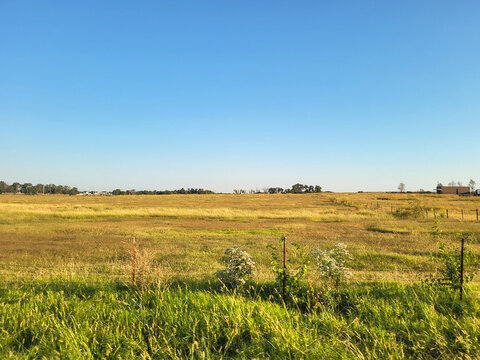 Open field grass skyline